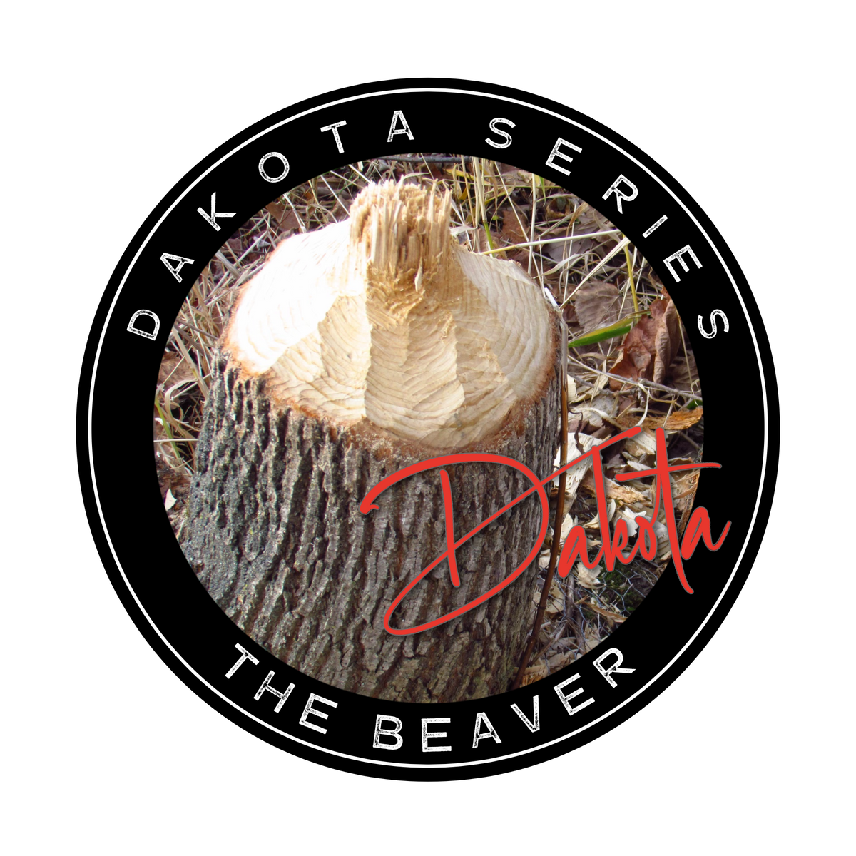 Dakota Line Coon/Beaver Snare