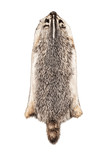 BADGER