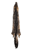 GREY FOX