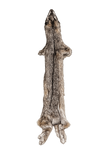 LYNX