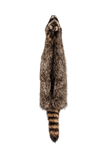 RACCOON