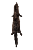 FISHER