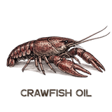 Crawfish Oil | Premium Grade 16oz.