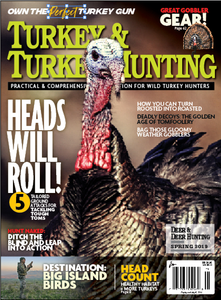 TTH ~ Turkey & Turkey Hunting