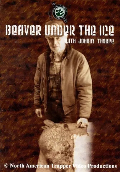 Beaver Under The Ice ~ Johnny Thorpe