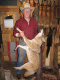 Coyote Trapping ~ Johnny Thorpe DVD