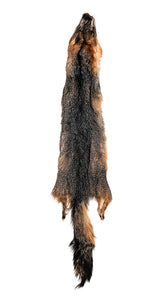 GREY FOX