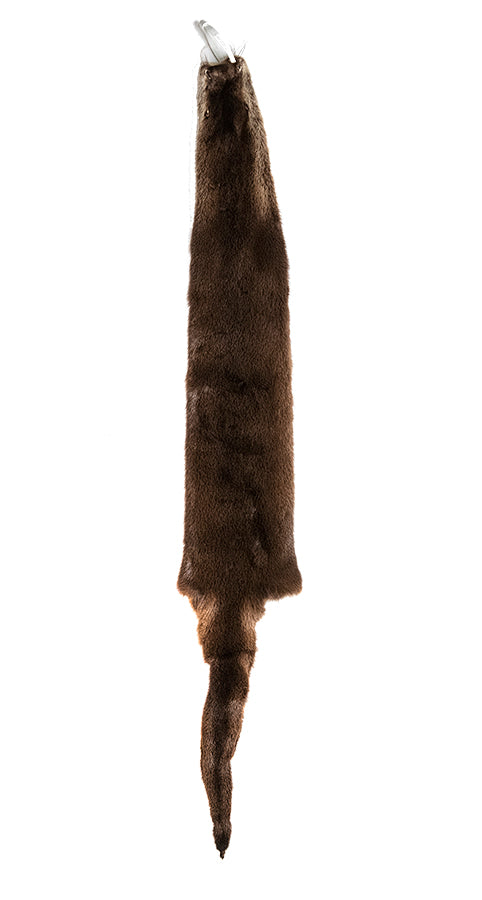 OTTER